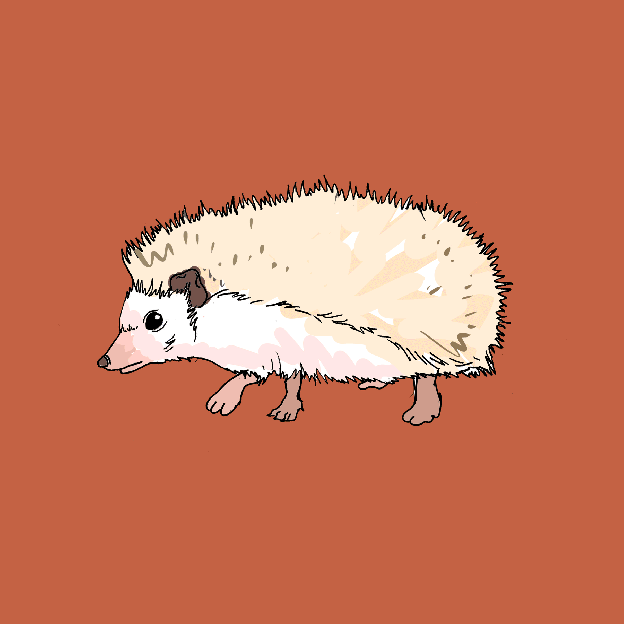 Ricks-Hedgehog.gif